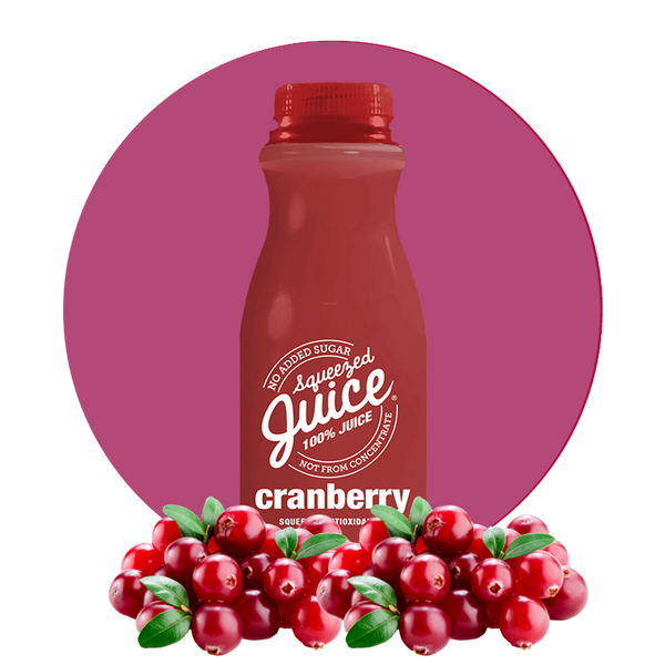 Cranberry Juice - Single 11 FL OZ