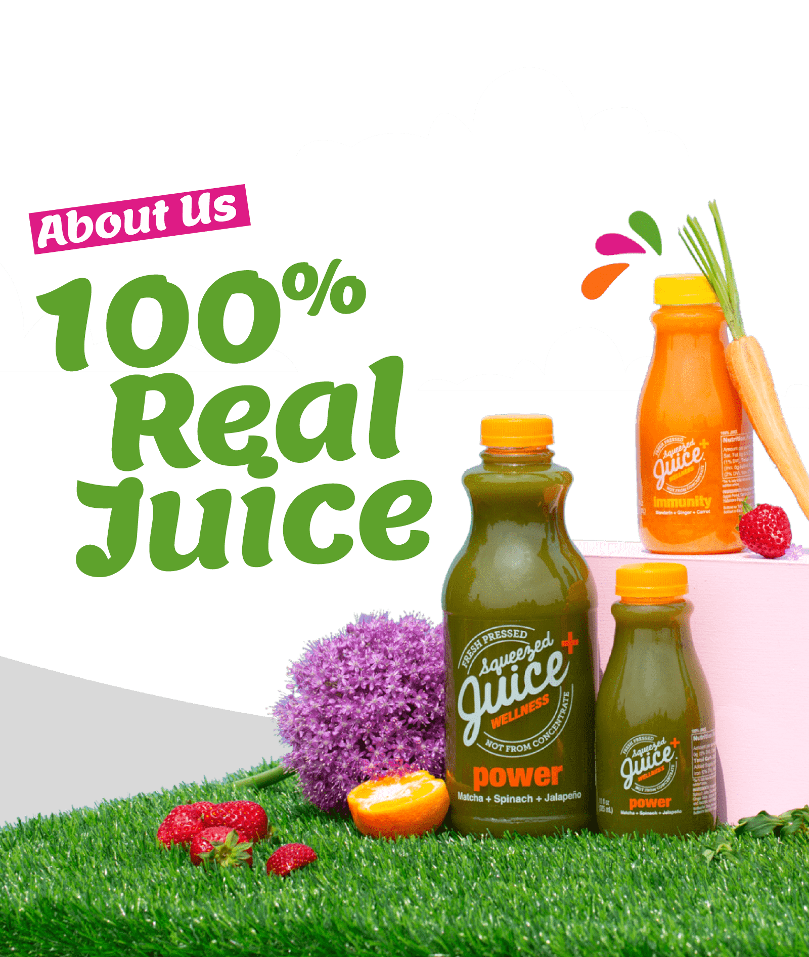 100%<br>Real Juice