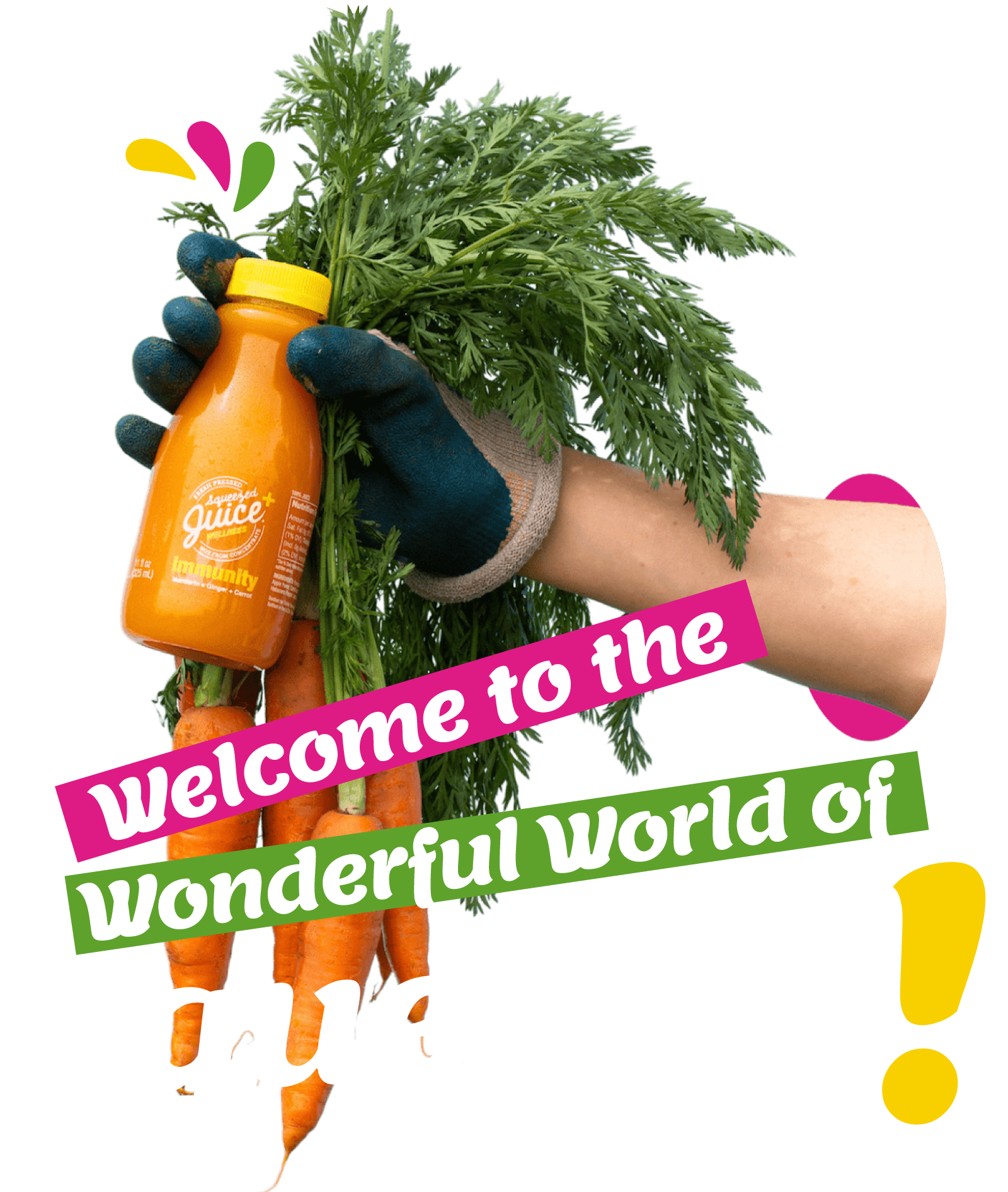 Welcome to the Wonderful World of Squeezed!